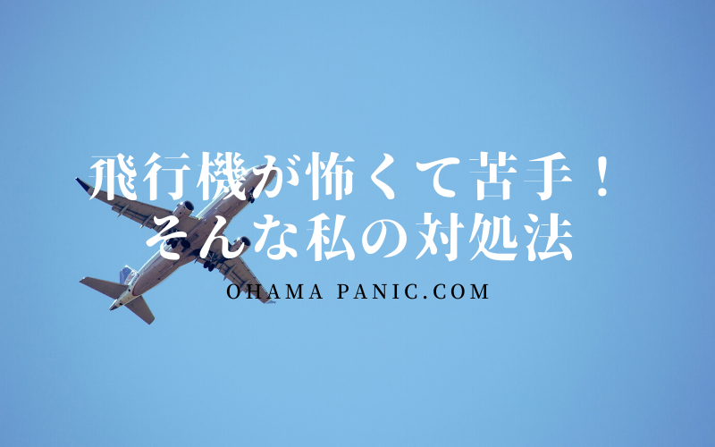 飛行機が怖くて苦手